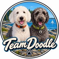 TeamDoodle1 copy
